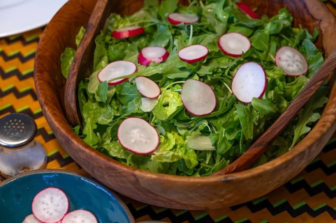Mixed green salad with radishes in a wooden salad bowl, Mecklenburg-Vorpommern, Germany
