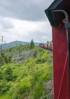 The locomotive of the historic Brocken Railway with several red and white wagons travels from Drei