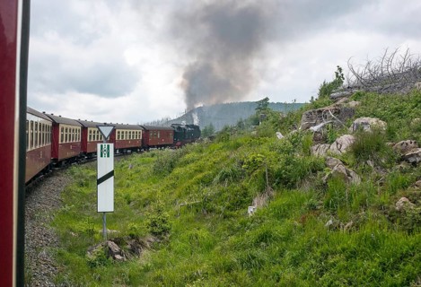 Steaming locomotive of the historic Brocken Railway with several red and white wagons travels from