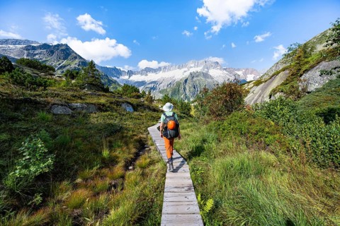 Mountaineers on wooden plank trail through mountain moor, in front of picturesque mountain scenery,