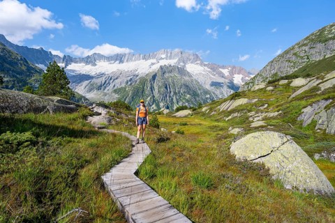 Female mountaineer on wooden plank path through mountain moor, in front of picturesque mountain