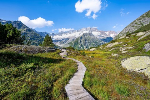 Wooden plank trail through mountain moor, in front of picturesque mountain scenery, Dammastock and