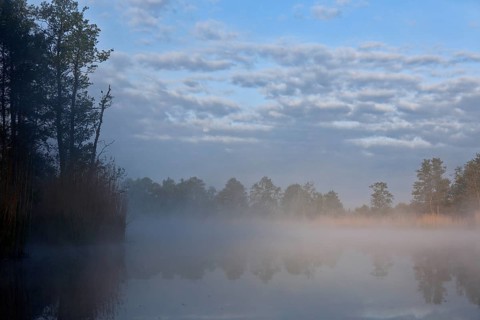 Foggy morning scene on a lake with reeds and cloudy sky, Peenetal nature park Park,