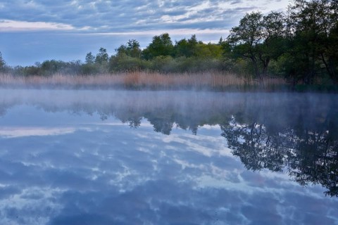 Morning fog over a lake with reeds and cloudy sky, quiet atmosphere, Peenetal nature park Park,