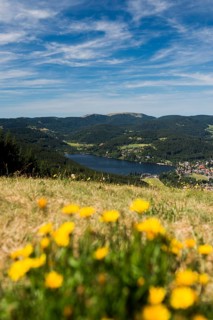 Titisee, Black Forest, Southern Black Forest, Baden-WÃ¼rttemberg, Germany