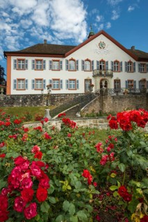 BÃ¼rgeln Castle, Obereggenen, Schliengen, Black Forest, Southern Black Forest, Baden-WÃ¼rttemberg,