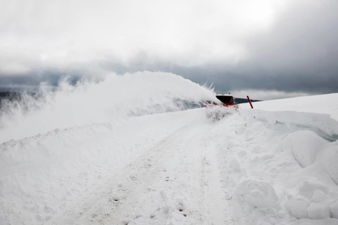 Snowplow and snowy road, Hofsgrund, Schauinsland, Black Forest, Southern Black Forest,