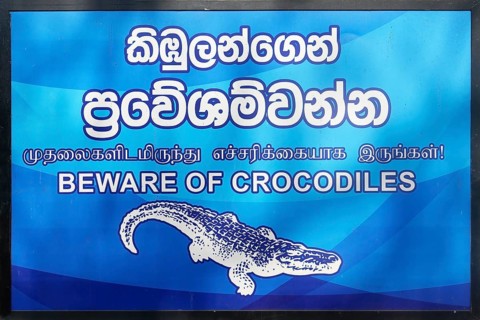 Signpost announcing Beware of crocodiles, Anuradhapura, Sri Lanka