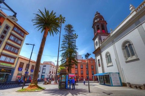 Urban square with palm trees and tower on a sunny day, UNESCO World Heritage Old Town of San