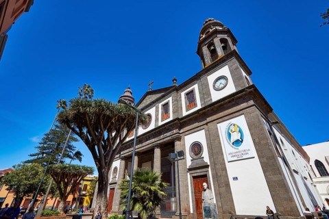 Nuestra Senora de los Remedios Cathedral, large church with decoration and plants against a bright