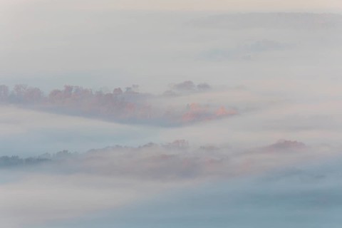 Idyllic atmosphere with orange treetops in morning fog, autumn forest in the golden light of