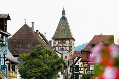 Picturesque village with half-timbered houses, Bergheim, Haut-Rhin, Alsace, France