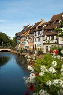 Half-timbered houses on the river, La Petite Venise, Krutenau district, Old Town, Colmar, Alsace,