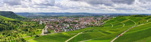 Panoramic view of a village with extensive green vineyards in the foreground, near Korb im Remstal,