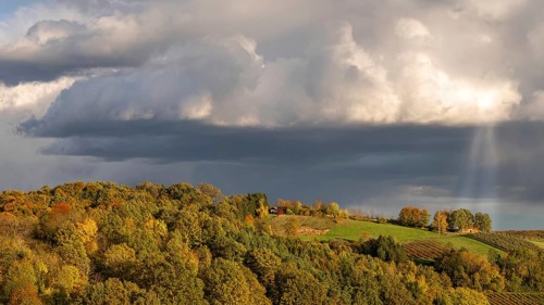 Cultural landscape in southern Burgenland in the late afternoon, Kukmirn, Burgenland, Austria