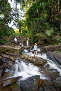 Tourist at Derema Waterfall, flows through dense vegetation, tropical rainforest in Amani Nature