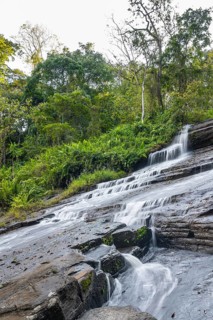 Derema Waterfall flows through thick vegetation, tropical rainforest in Amani Nature Forest
