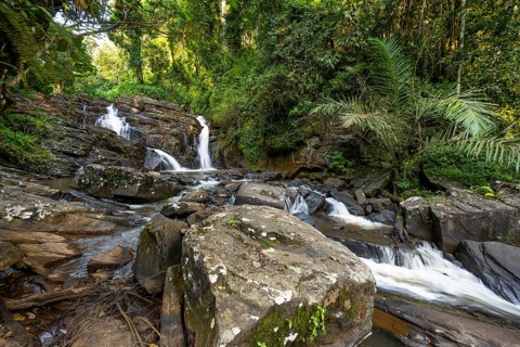 Derema Waterfall flows through thick vegetation, tropical rainforest in Amani Nature Forest