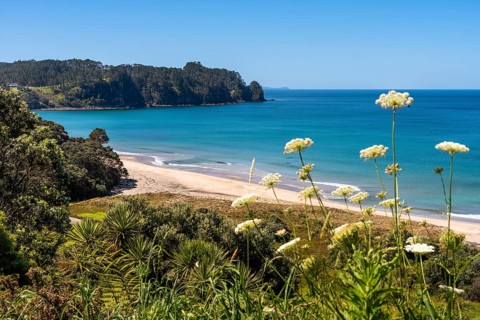 Landscape with sea and sandy beach in New Zealand. View of Hot Water Beach. Hot Water Beach,