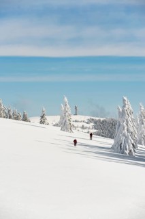 Snow-covered fir trees and snowshoe hikers, StÃ¼benwasen, Feldberg, Todtnauberg, Black Forest,