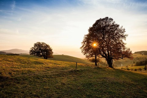Weather forecast in autumn, sunset, Schauinsland, Freiburg im Breisgau, Black Forest,