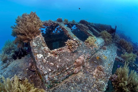 Deck, overgrown with various corals, SS Turkia, British, steamship, sunk 17.05.1941, Second World