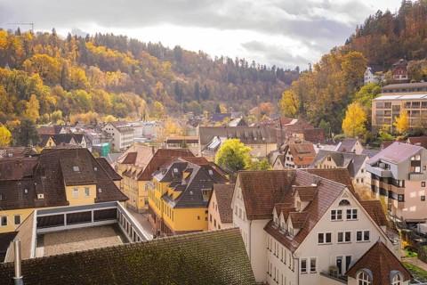 Scattered buildings with various roof shapes in a hilly landscape in autumn, Calw, Black Forest,