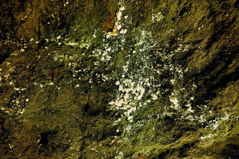 Salz am Fels, salt mine, Bex, Canton of Vaud, Switzerland