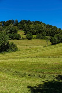 Picturesque alpine meadow landscape on PfÃ¤nder near Fluh, Bregenz, Vorarlberg, Austria