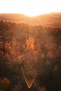 Wooded landscape with autumn trees illuminated by a powerful sunset, Calw district, Germany