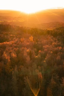 Autumn forest illuminated by a warm sunset that creates an orange atmosphere, Calw district,