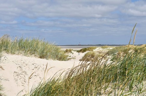 Dune landscape near Sankt Peter-Ording, Westerhever lighthouse, North Sea, Schleswig-Holstein,