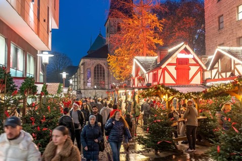 Christmas market in Essen, gastronomy, fire forest, at Essen Cathedral, Kettwiger StraÃŸe shopping