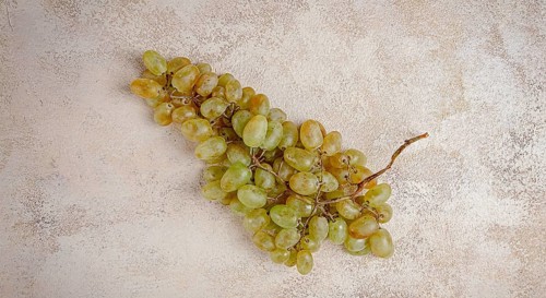 A branch of white grapes, wine grapes, Georgian grape variety Rkatsiteli, top view
