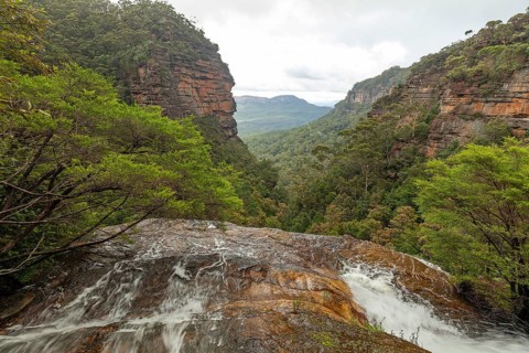 Leura Falls in a lush valley full of ferns and vegetation, Blue Mountains, New South Wales,