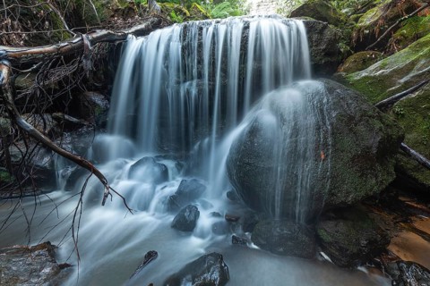Leura Falls further down in the lush valley full of ferns and vegetation, Blue Mountains, New South