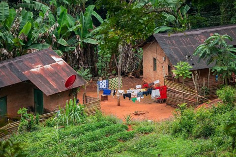 Houses in a settlement in the Amani Nature Forest Reserve, Eastern Usambara Mountains, Tanga,