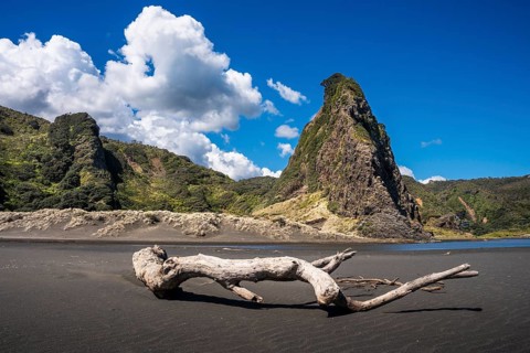Landscape in New Zealand with sandy beach. Karekare Beach and The Watchman Rock. Karekare,