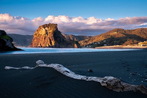 Landscape in New Zealand with sea and sandy beach. Piha Beach and Lion Rock. People on the beach,