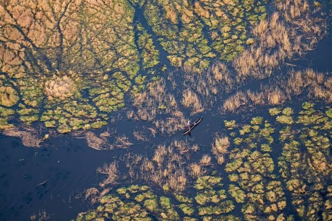 Marshland, marshland, Kavango fishermen with dugout boat, Mokoro, aerial view, Okavango Delta,