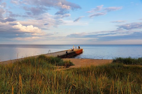 Coastline with beach, grasses on the shore, bathers at the jetty, summer in Ystad, evening sun,