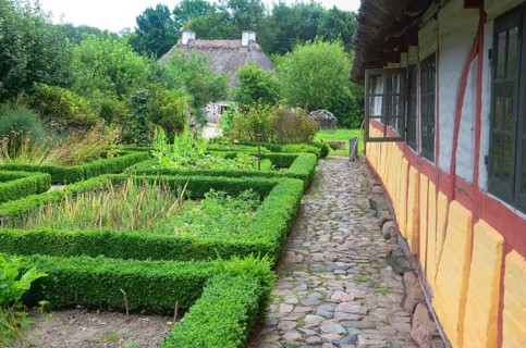 Half-timbered house with thatched roof by an older kitchen garden with boxwood hedges in Den gamle