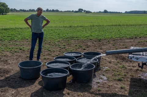 Shepherd fills water tubs from a pickup truck for sheep in the pasture, Mecklenburg-Western
