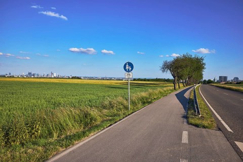 Cultural landscape, fields, agriculture, cornfield, footpath and cycle path, traffic sign special