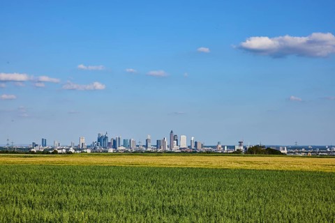 Cultural landscape, fields, agriculture, total views, skyline, view of Frankfurt am Main, haze,