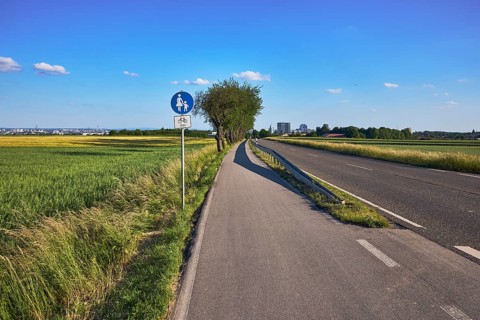 Cultural landscape, fields, agriculture, cornfield, footpath and cycle path, road sign special path