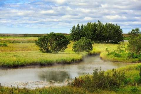 Hot steaming springs flow into the river Reykjadalsá, geothermal field, meadows, Reykholt,