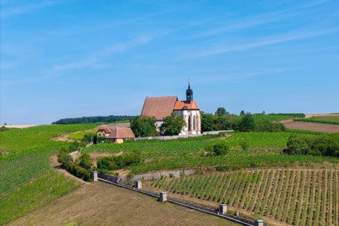 Pilgrimage church Maria im Weingarten, in the middle of green vineyards on a sunny day, near
