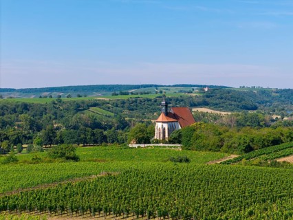Pilgrimage church Maria im Weingarten, in the middle of vineyards with wooded hills in the