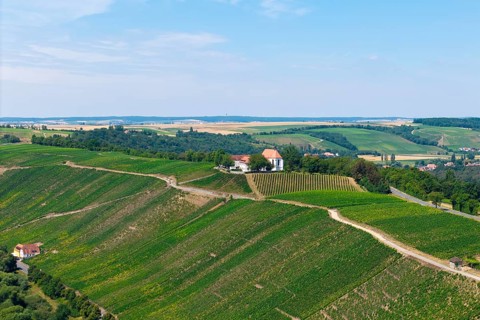 Vogelsburg near Volkach with monastery church of the Protection of the Virgin Mary, aerial view,